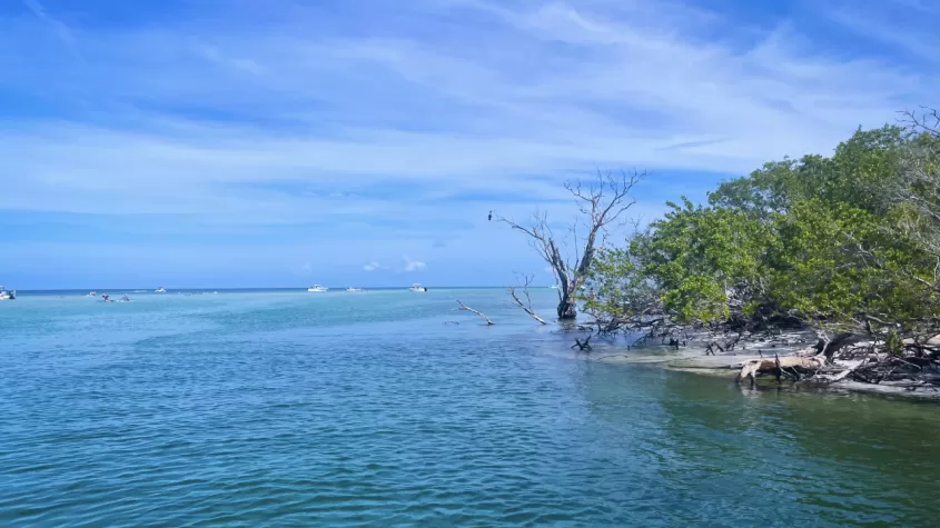 Beautiful backbays SW Florida