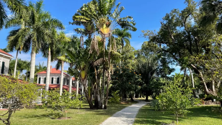 Participants will get the tools to growing a tropical oasis of palms. 