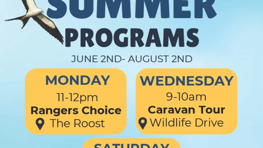 Flyer 25-Summer Programs