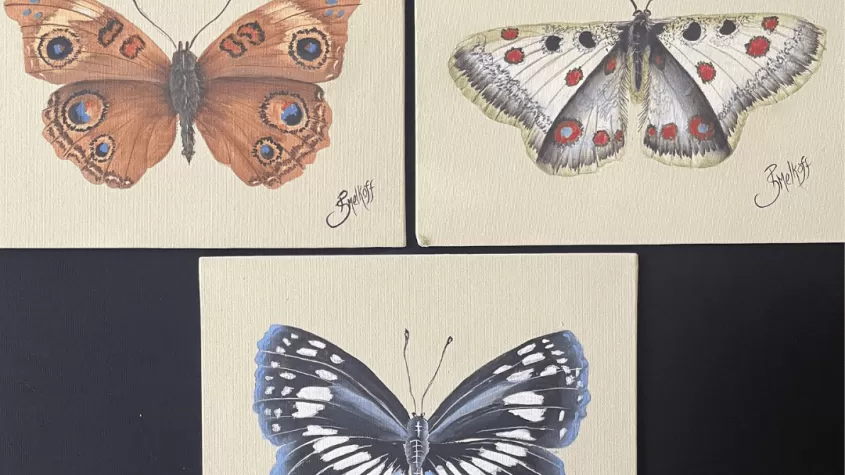 picture of three butterflies painted on small canvases. An orange, then a white and one in blue below.