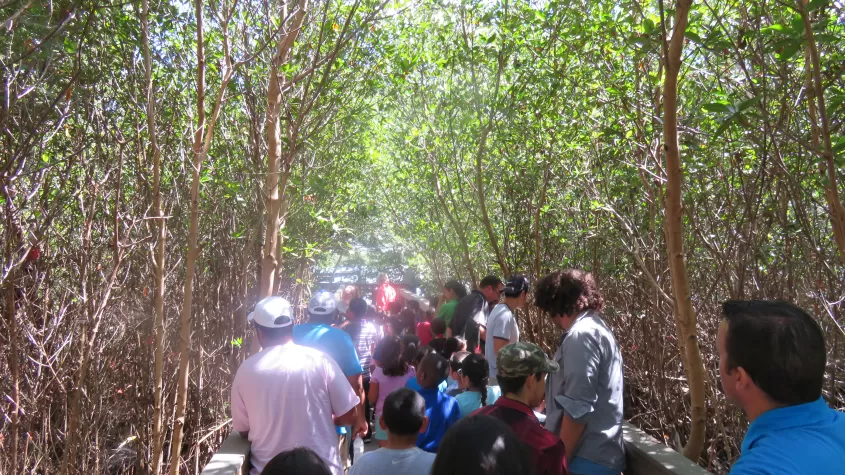 Ranger Tour