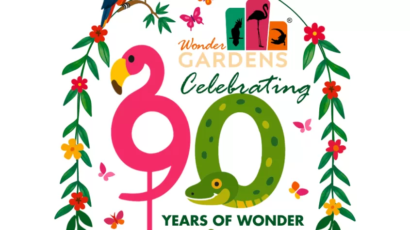 Celebrating 90 Years of Wonder