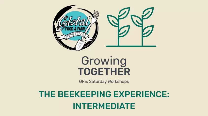 Beekeeping Intermediate