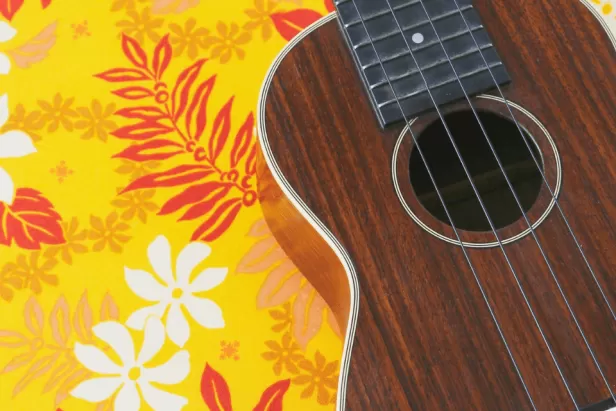 Yellow background with white, red and pink florals and a brown ukulele 
